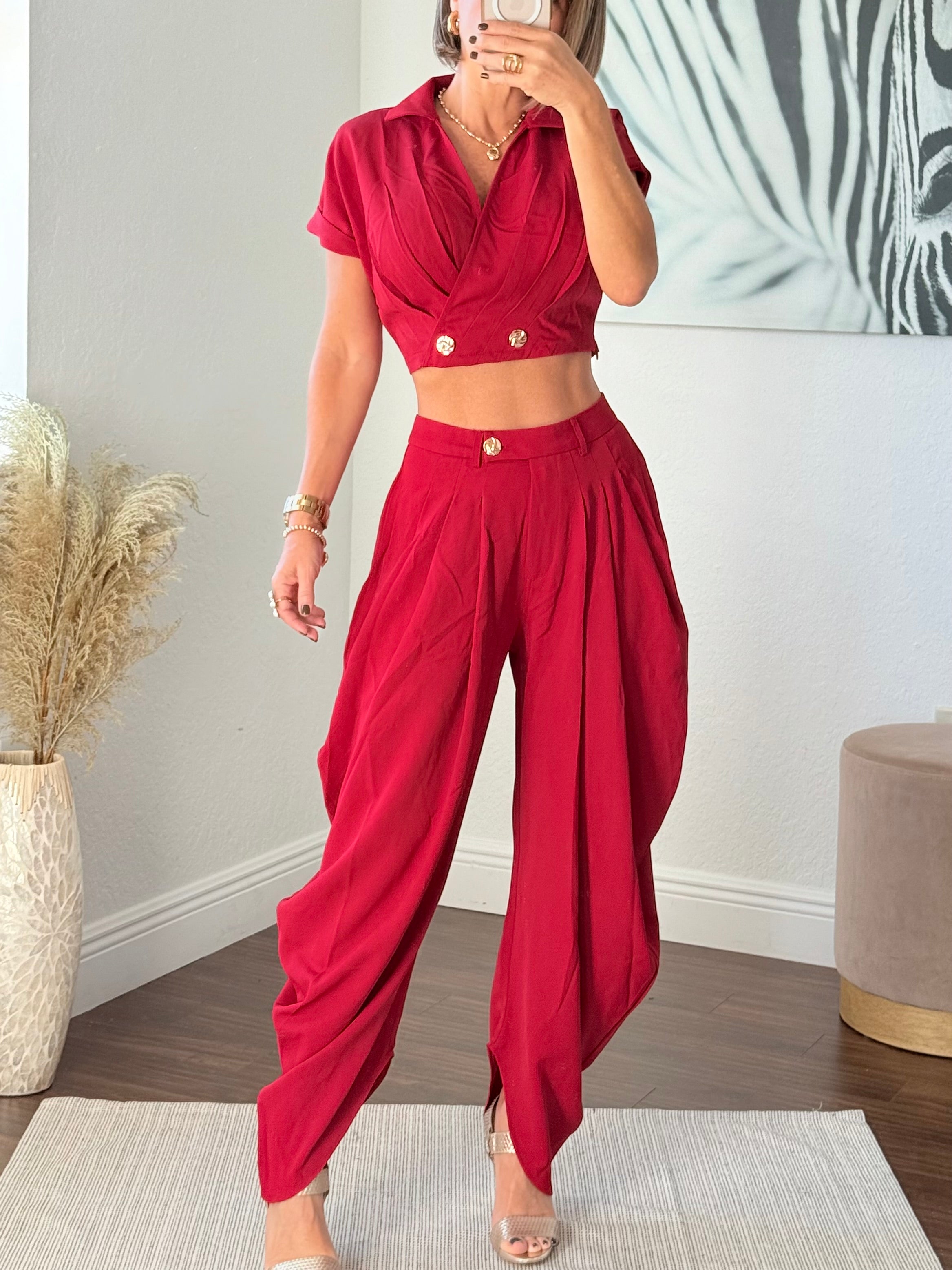 Red  Wide-Leg Jogger Pants with Modern Pleats and top set