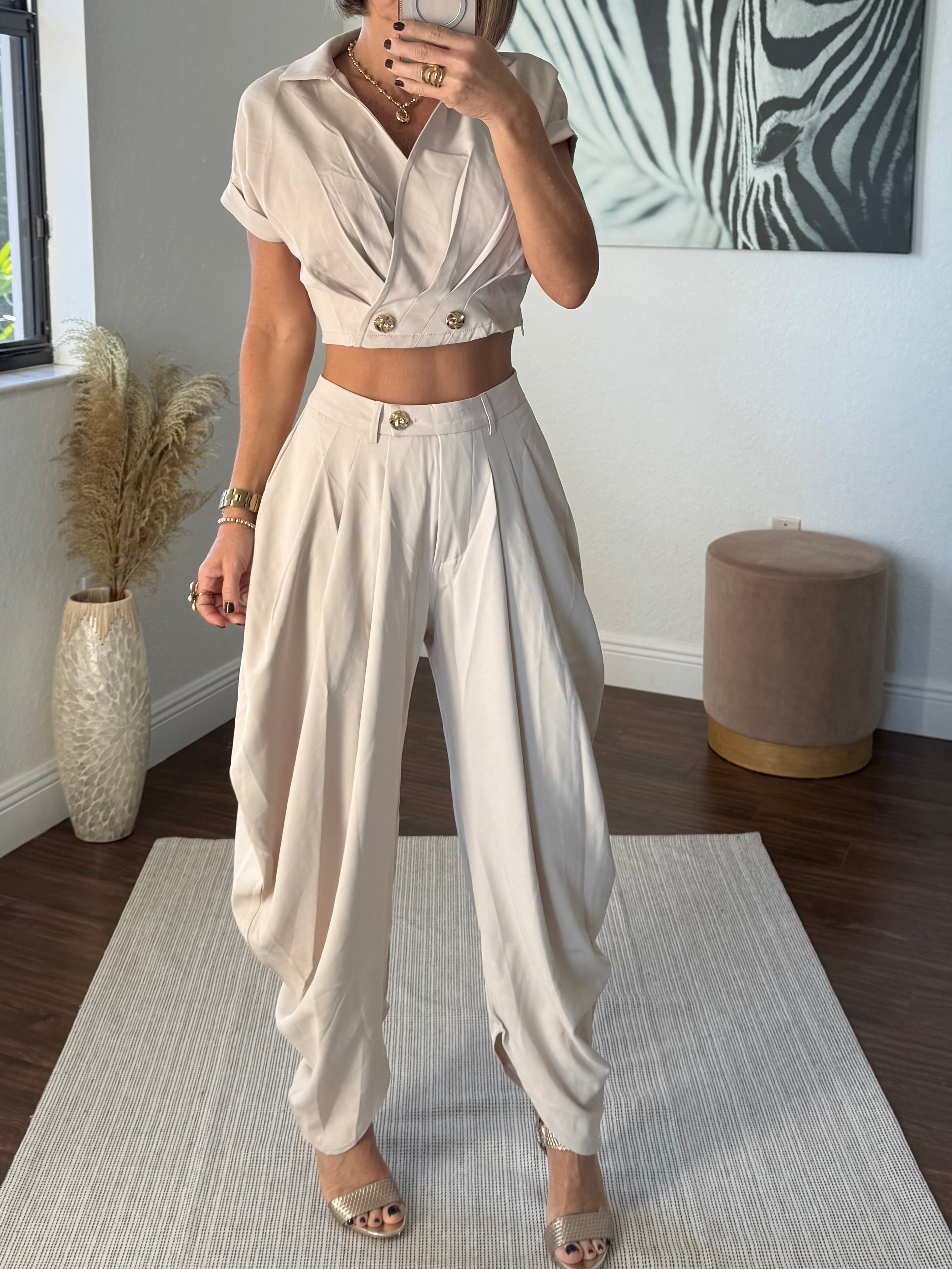 Beige   Wide-Leg Jogger Pants with Modern Pleats and top set