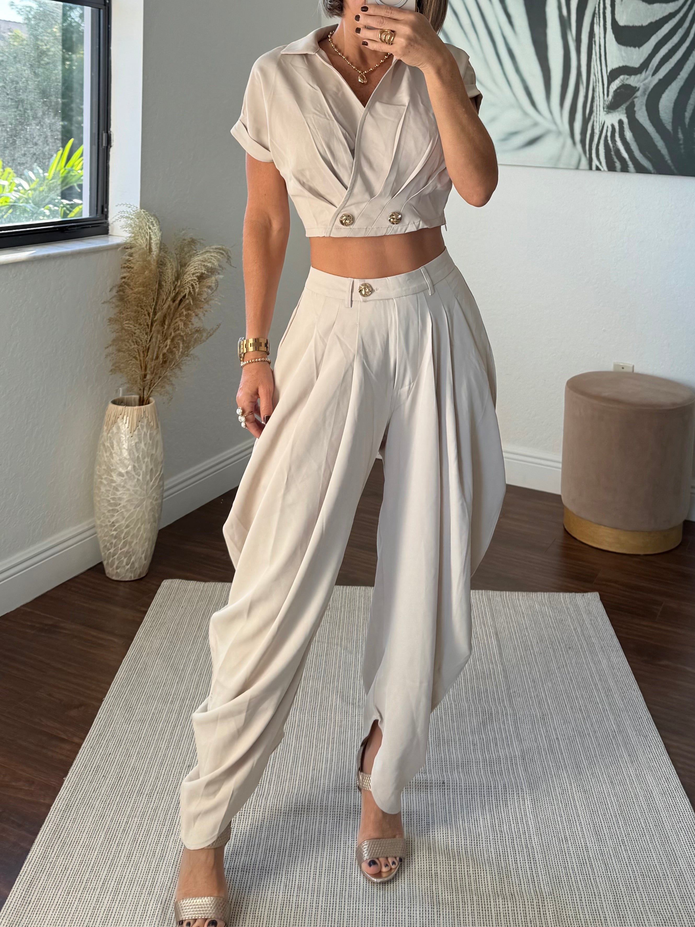 Beige   Wide-Leg Jogger Pants with Modern Pleats and top set