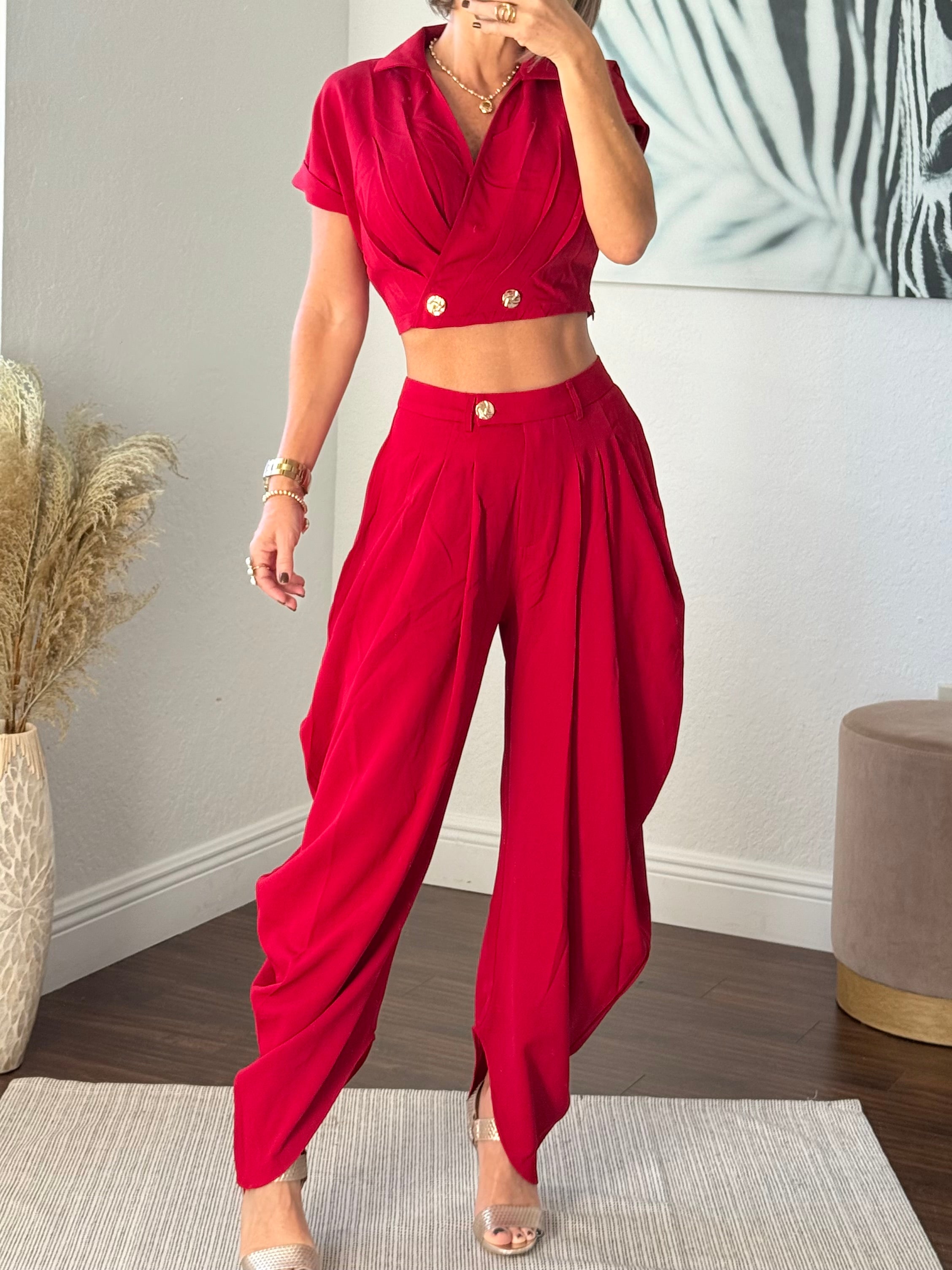 Red  Wide-Leg Jogger Pants with Modern Pleats and top set